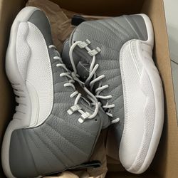 Air Jordan 12 Retro 