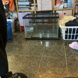 20 Gallon Tank