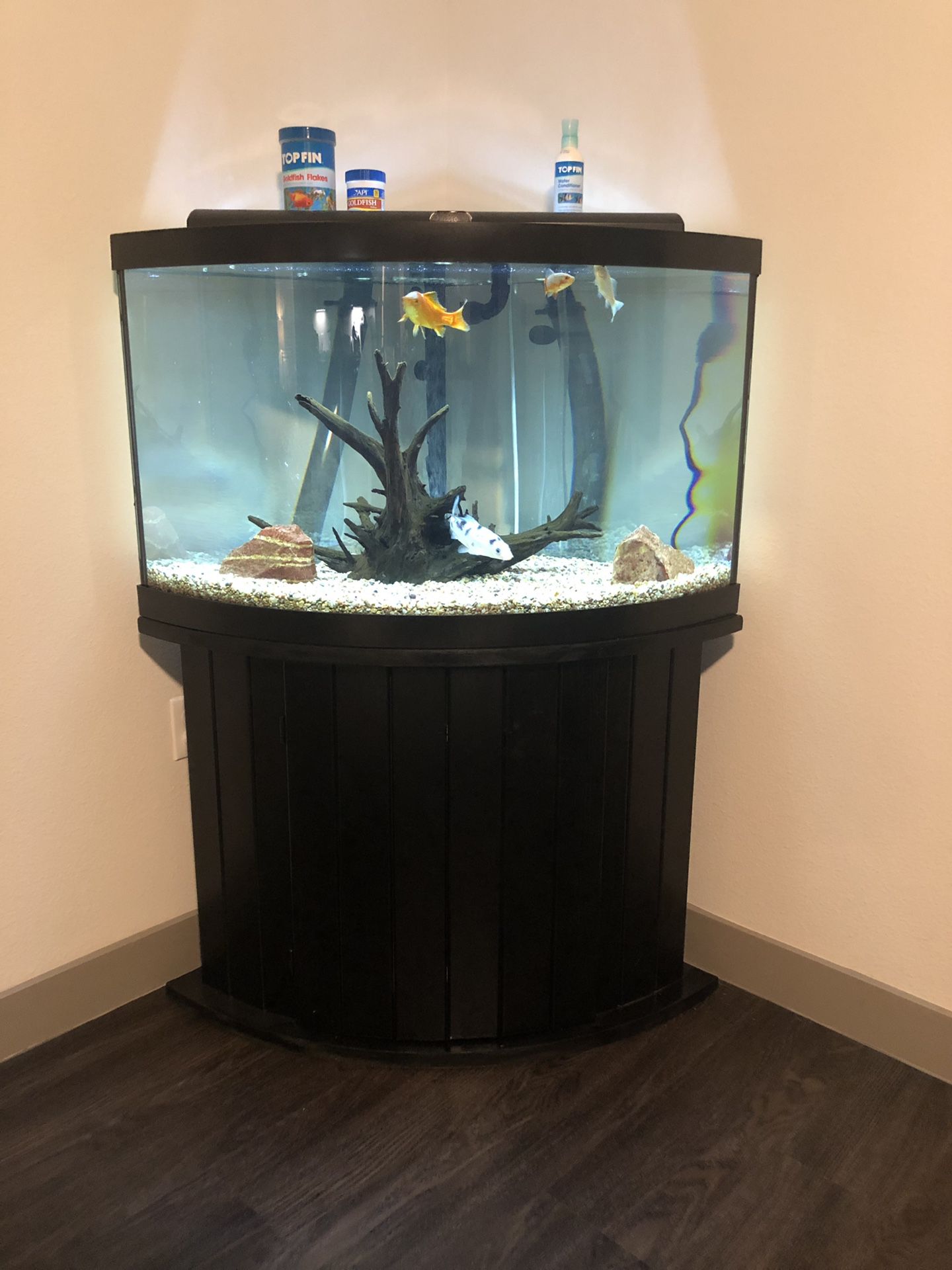 Rounded Corner 45 gallon Fish Tank with Marineland 360 Filtration System
