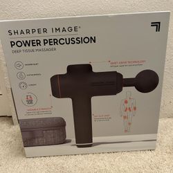 Sharper Image Massager