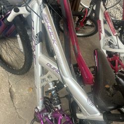 6 Bikes For The Reseller $80 For All