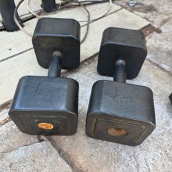 25lb dumbbells
