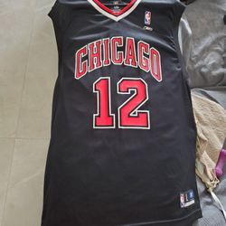 Jersey Chicago Bulls Hinrich