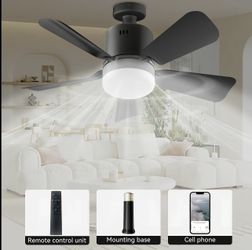 Light Socket Fan With Light