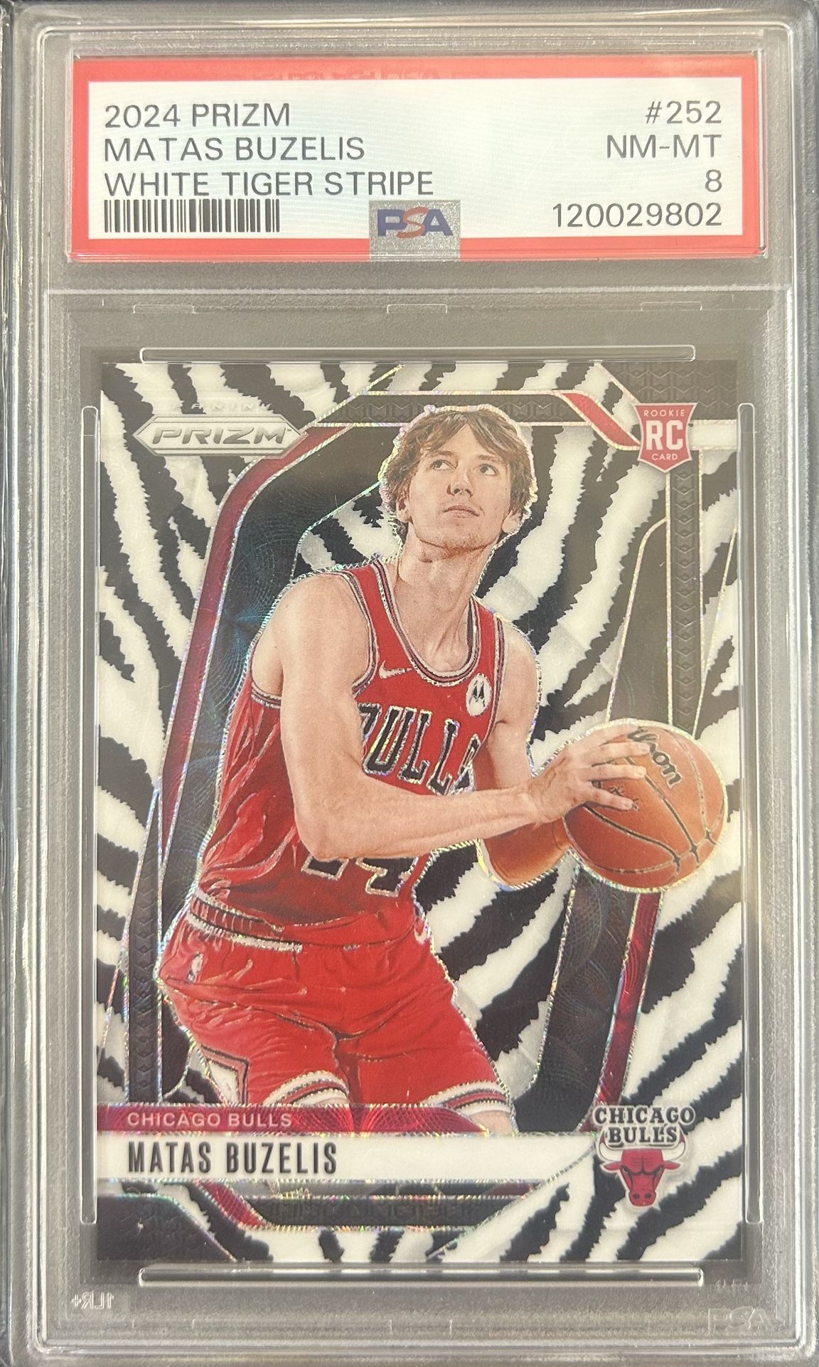 2024 Panini Prizm Matas Buzelis White Tiger Stripe SSP PSA 8 Rookie