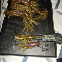 Fishing Bass Plastics