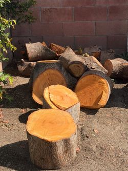 Free fire wood