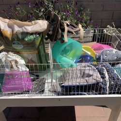 Guinea Pig/Small Animal Supplies 
