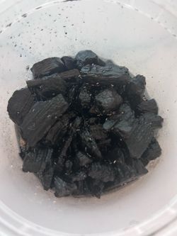Bioactive Cleanup Crews - Live Isopods and Springtail Cultures for sale