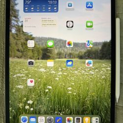 iPad Pro (6th Generation) 