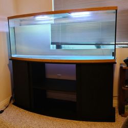 120-125 Gallon Bow Front Fish Tank 
