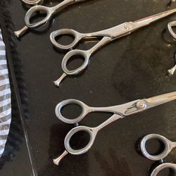 New 6 Pairs Of Bucktown Lefty Shears 5.75 Length All 6 For $180