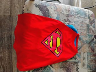 Small Dog Superman Outfit