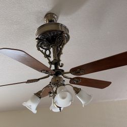 Fan 