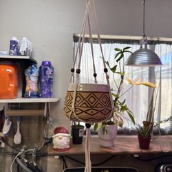 Macramé hangers with flower pots