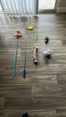 Miscellaneous Cat Toys