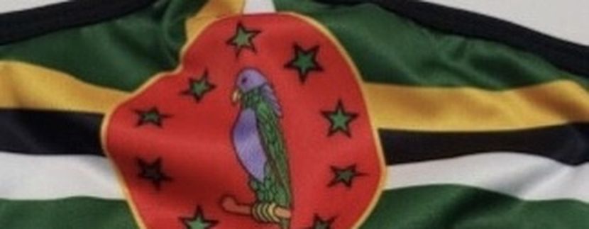 Dominica Flag Face Mask