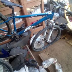 K2 29-in Hardtail Mountain Bike