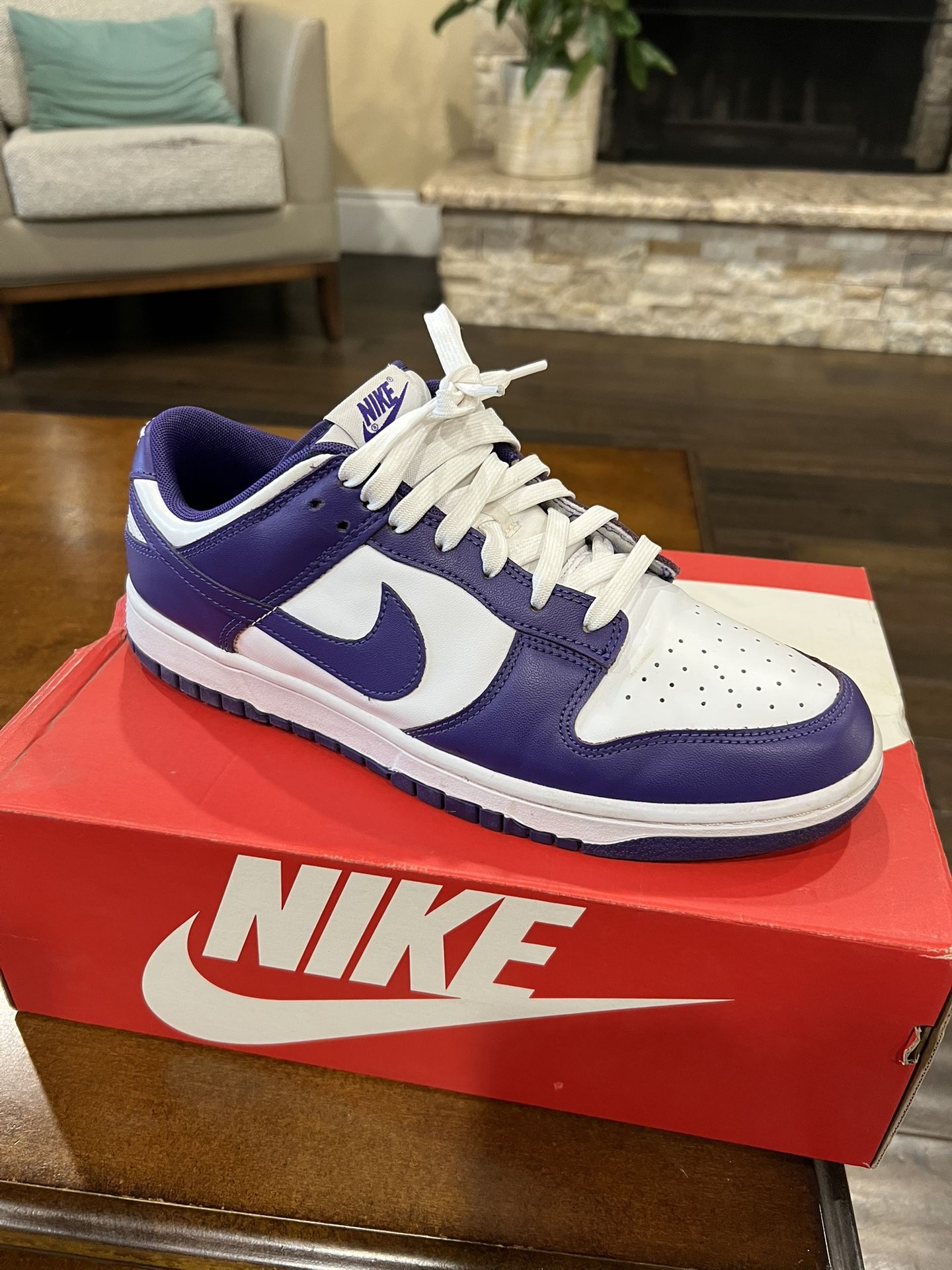 Court Purple Nike Dunk 10.5