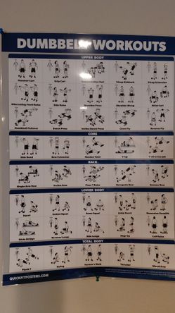 4 Laminated Exercise Diagrams
