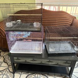 Jaulas Para Pájaros