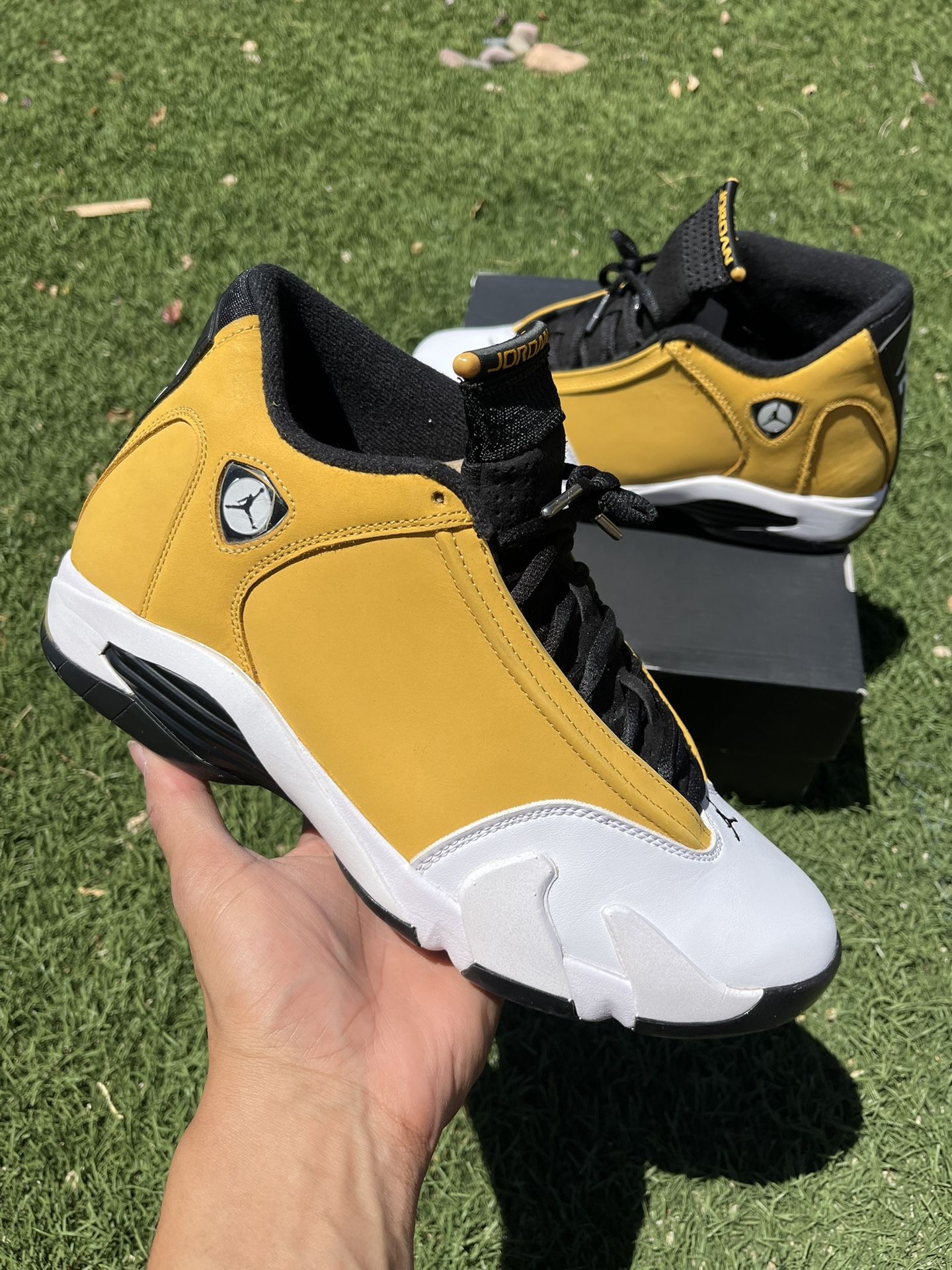 Jordan Retro 14s $140