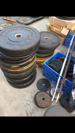 Used bumper plates Olympic