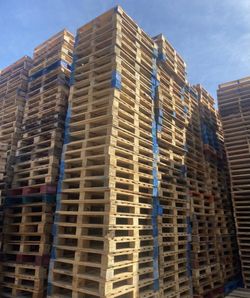 Wooden pallets for sale
