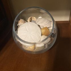 Seashell Collection In Glass Receptacle 