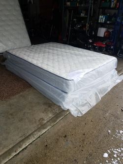Olympia new queen delivered today.