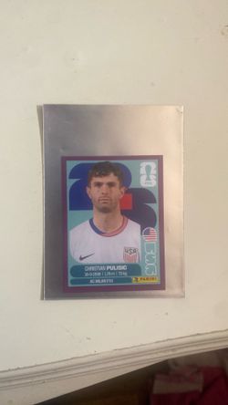 Pulisic usa sticker