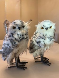 decorated owl