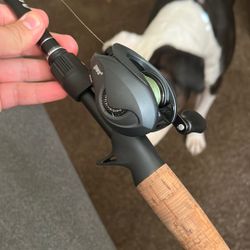 Lews combo 7 foot three medium heavy action rod paired with the new use $99 custom custom reel