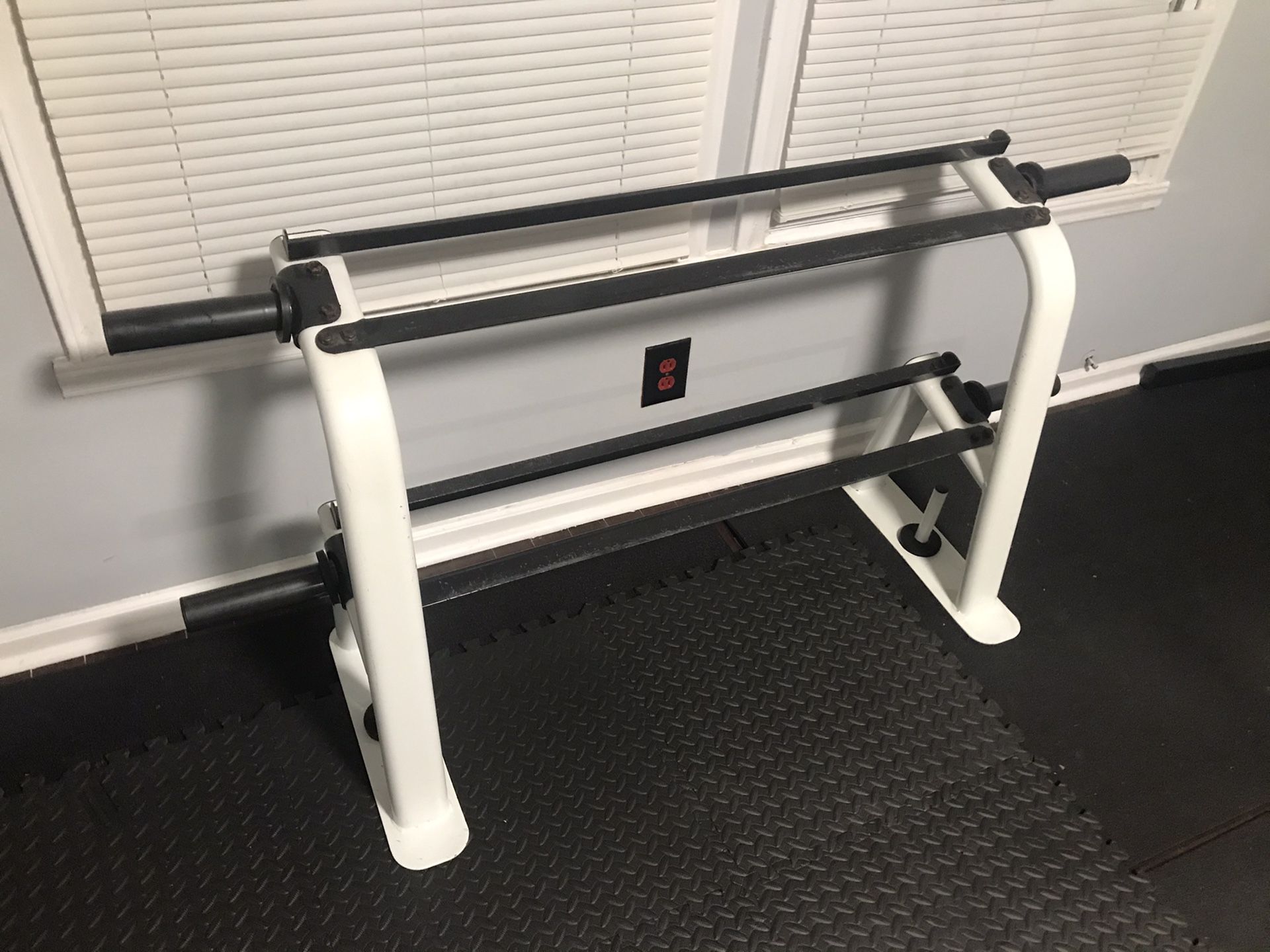2-tier Dumbbell Rack with Weight plate storage (2in and 1in)