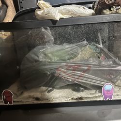 10 Gallon startup tank 