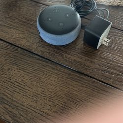 Echo Alexa