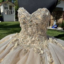 Quinceañera Dress 