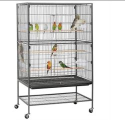 Bird Cage 