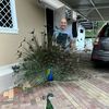 Norberto