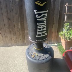 Everlast Boxing MMA Stand Kick 