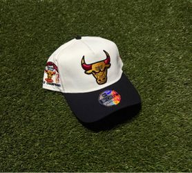 Chicago bulls hat