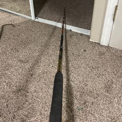 Conventional Fishing Rod 