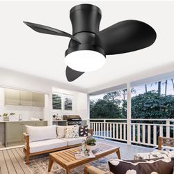 Ceiling Fan With Light And Remote—22inch