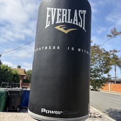 Everlast Free Standing Punching Bag - Indoor Rounded Heavy Duty Fitness Training Heavy Bag
