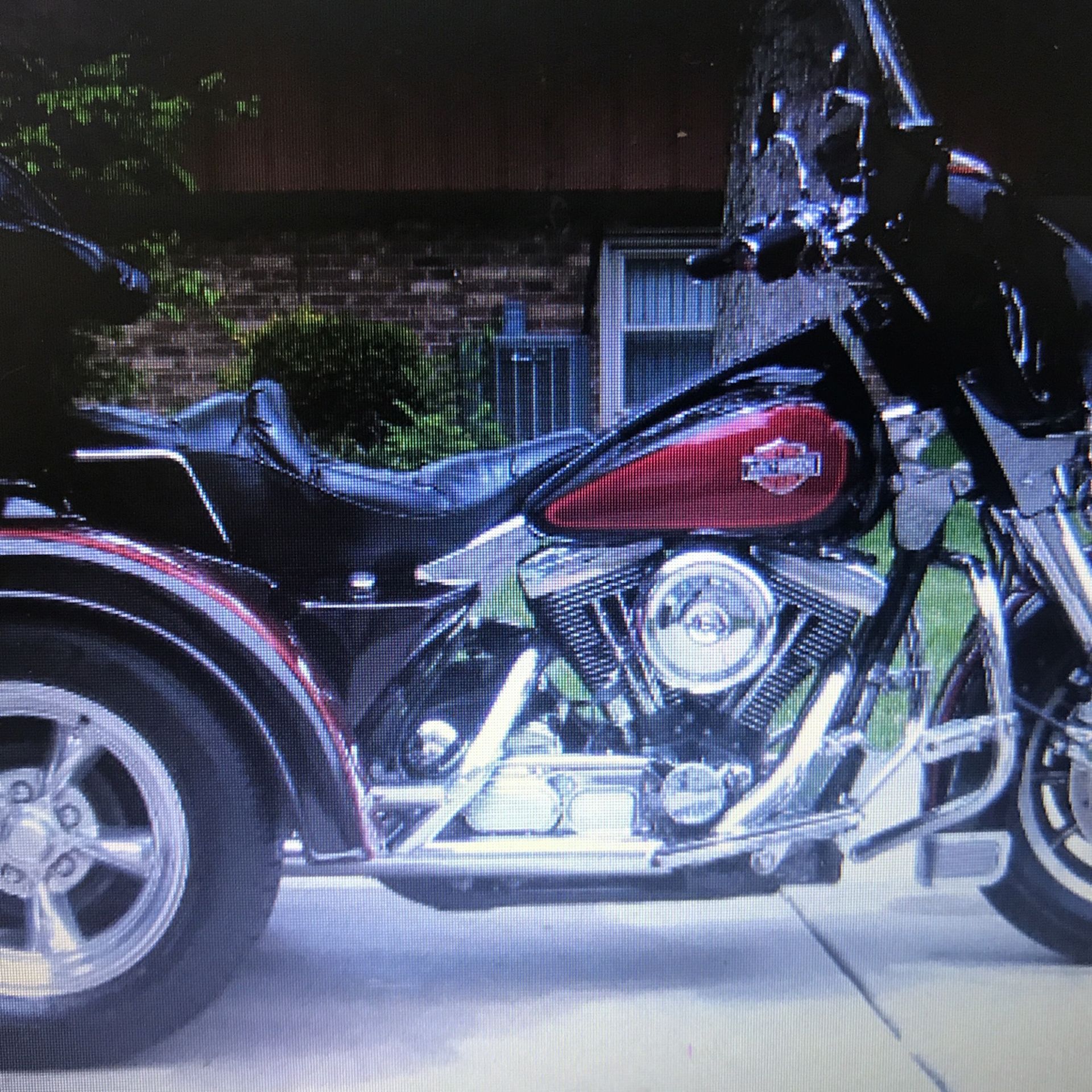 Photo For Sale Harley 1988