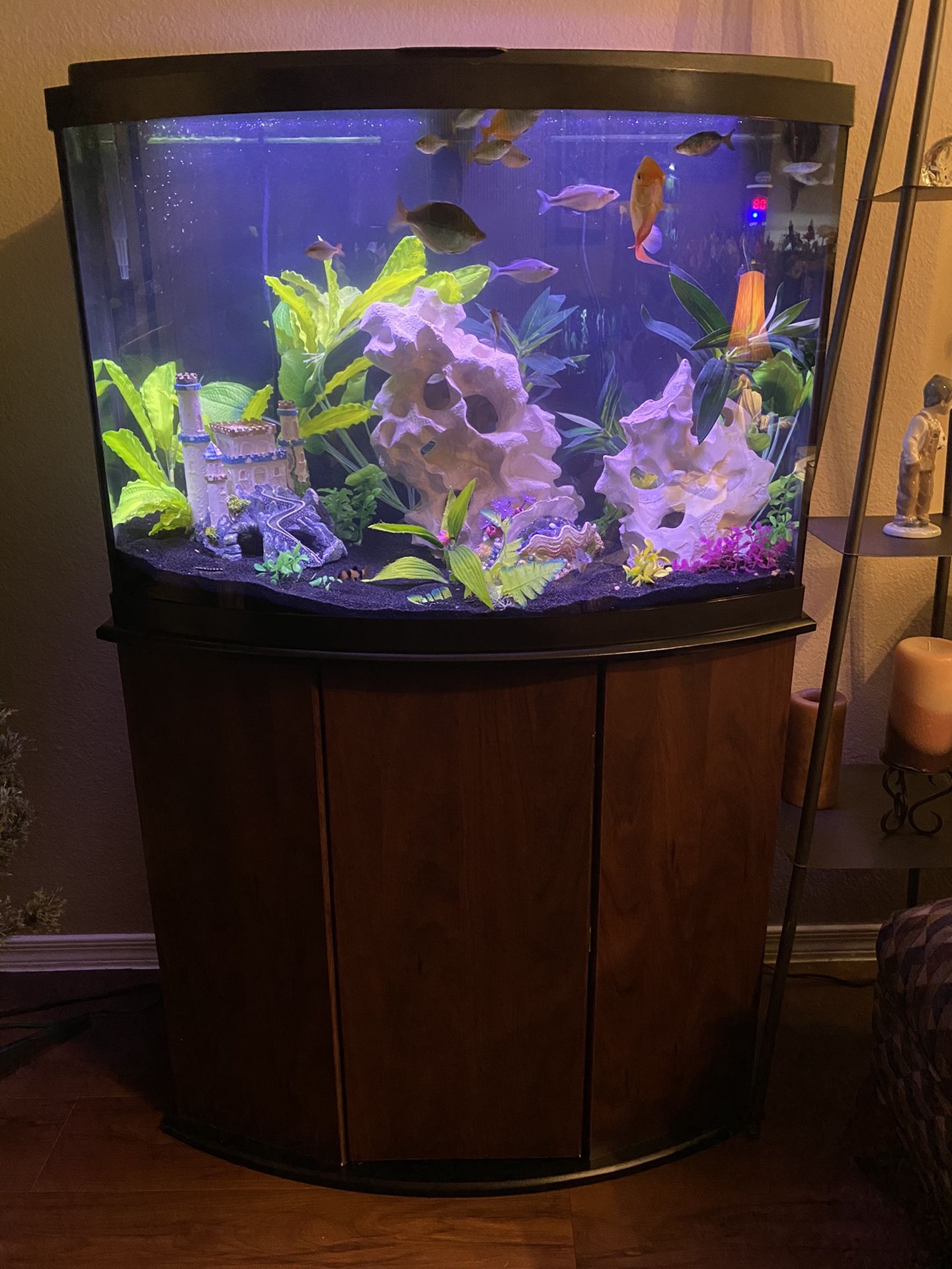 Bowfront Aquarium Stand for 36 Gallon