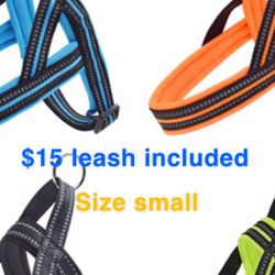Harness With Leash