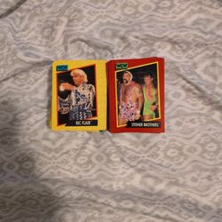 1991 WCW Trading Cards 