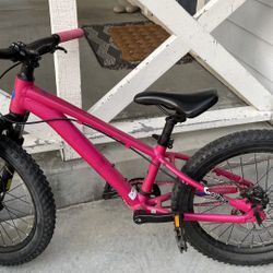 Giant STP 20” Bike 