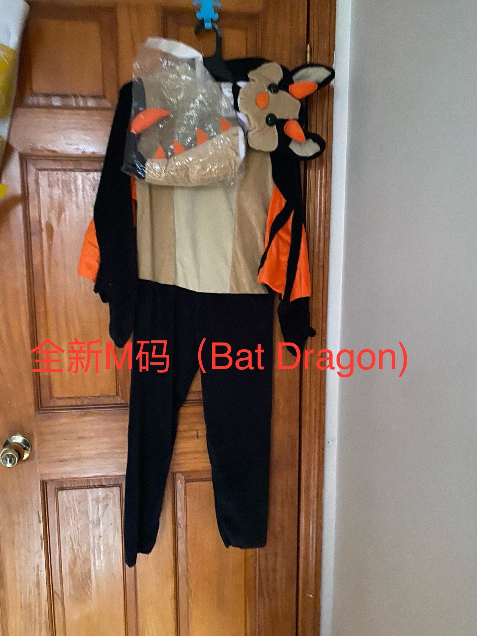 Halloween Costume Size M